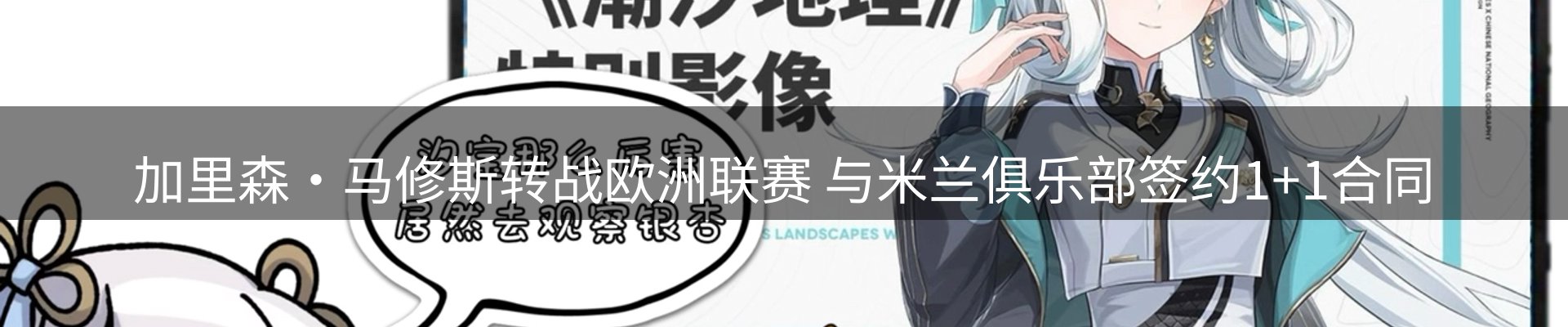最新动态