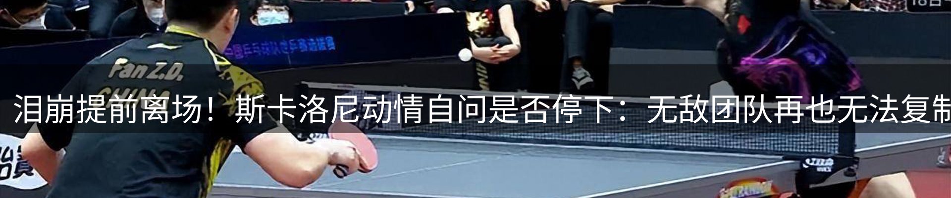 最新动态
