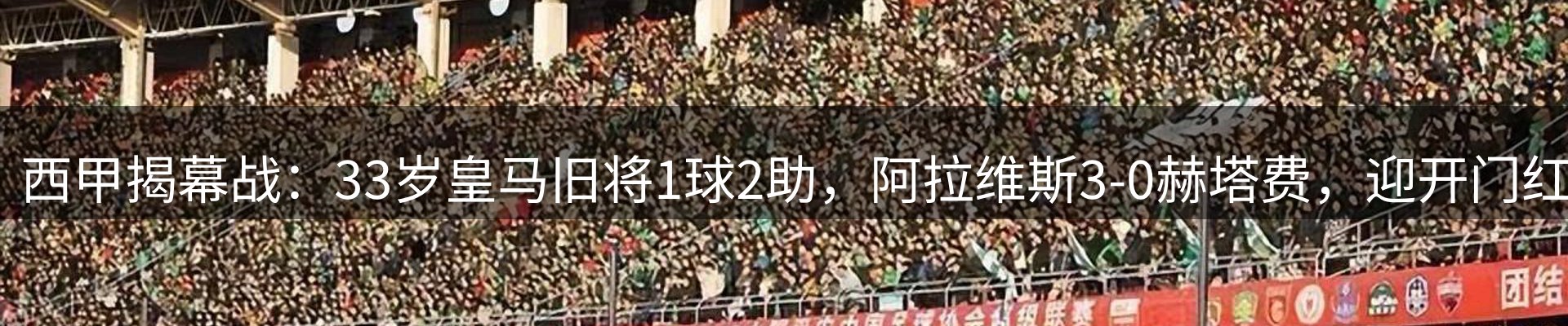 最新动态