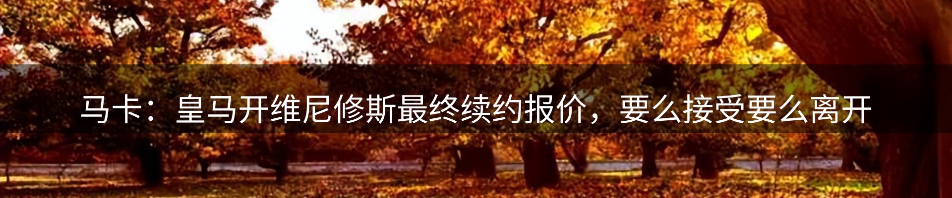 最新动态
